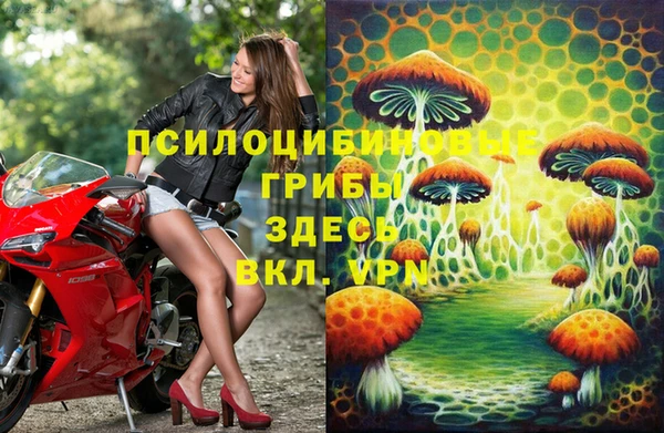 2c-b Алексин