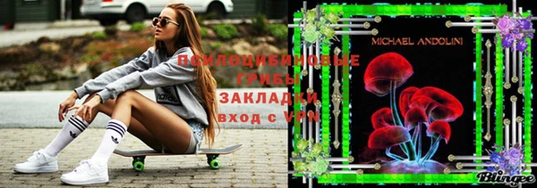2c-b Алзамай