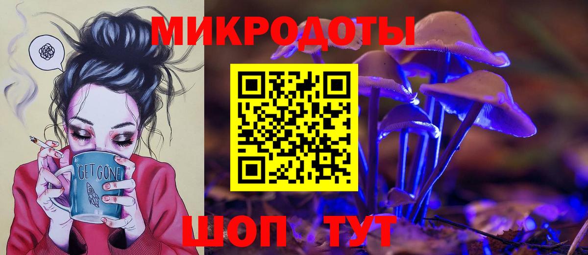 Павлово  Галлюциногенные грибы прущие грибы  Вход с VPN 