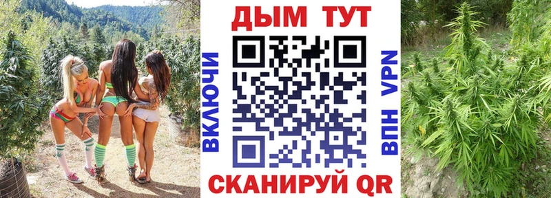 Канабис Ganja  закладка  Павлово 